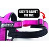Neewa Sport Harness (Medium, Red), Padded Dog Harness, with Control