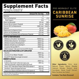 Pre-Workout Elite - Size: 20 Servings, Flavor: Fruit Punch