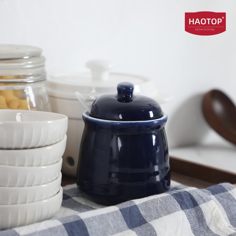 HAOTOP Porcelain Salt Bowl with Lid and Spoon,Ceramic Sugar Bowl