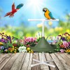 Multifunction Folding Bird Parrot Stand Bracket Feeding Bowl Shower Perch