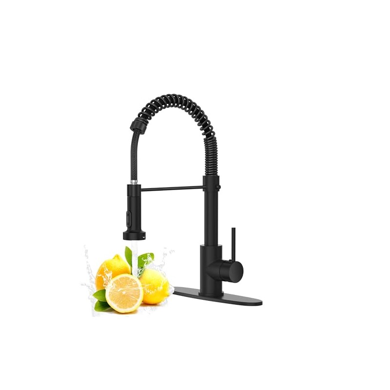 Black Kitchen Faucet with Pull Down Sprayer, High Arc Spring