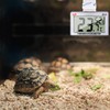 Cluoling Thermometer/Hygrometer, Reptile, Temperature and Humidity Management, Thermometer, Digital HD