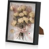 8"x10" Shadow Box Picture Frame Wall Hanging Display Case -