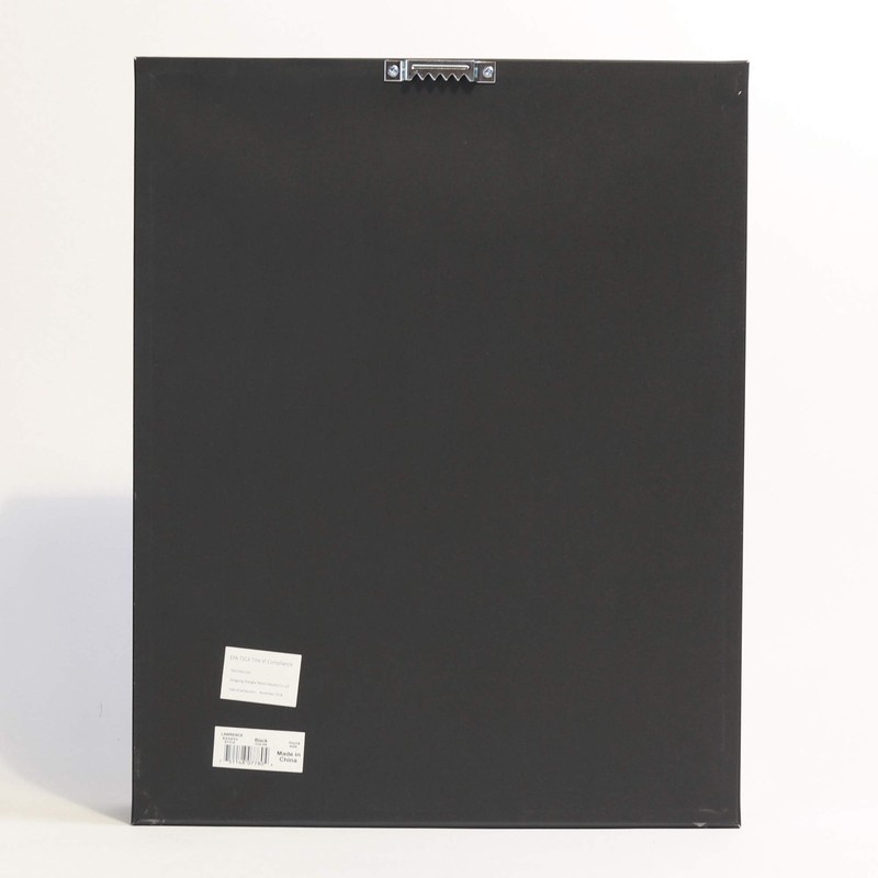 Lawrence Frames 531011 11x14 Golf Display Case-Holds 25 Logo Balls