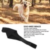 Qcwwy Dog Knee Braces for Hind Leg, Dog Hind Leg