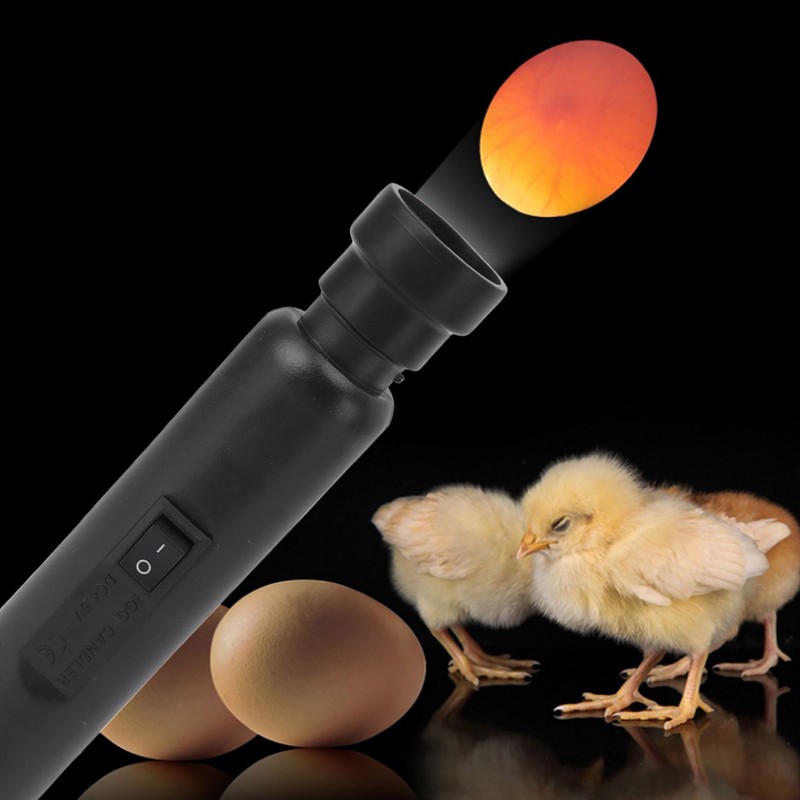 Egg Candler Stable USB ABS Cold Light LED Egg Tester