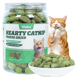 Wellix Freeze-Dried Catnip Treats with Chicken, Cat Grass & Catnip, 3 oz