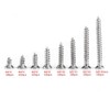 800pcs M2 Cross Drive Self-Tapping Screws Woodworking Fastener with Box