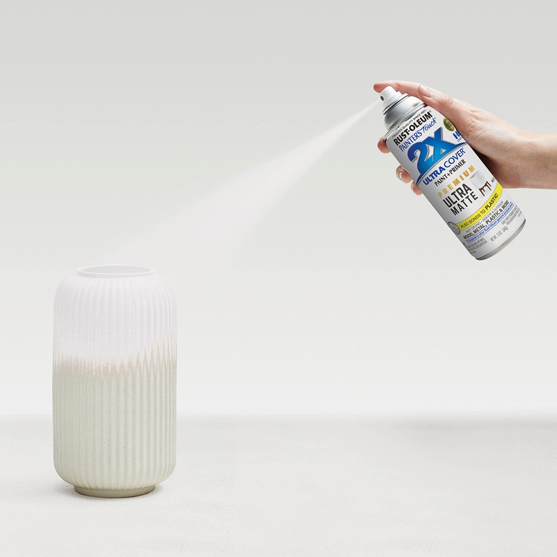 Rust-Oleum 331181-6PK Painter's Touch 2X Ultra Cover Spray Paint, 12