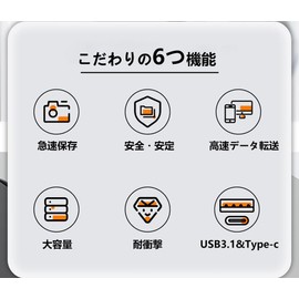 USB Type-C USB-A兼用 高速データ転送 大容量16GB 32GB 64GB128GB 256GB 512GB 1TB Type C 2IN1 画像保存 容量不足解消 (256, GB)