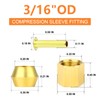 GASHER 60PCS Brass Compression Fitting Kit,Sleeve Ferrules&Insert Tube Support&Ferrule head,3/16"