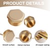 2 x brass plugs, 1 inch male thread, sealing plug