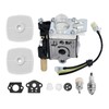 SRM210 Carburetor GT-200R Carb Kit Replacement for Echo Trimmer PE200