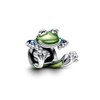 Yuscorai Climbing Frog Charms for Bracelets and Necklaces Birthdays Jewelry