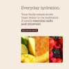 Free Soul Hydrate | Electrolyte Hydration Sachets with Sodium, Magnesium,