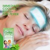 Cold Patch - Cooling Ice Packs | Soothing Pad, Forehead