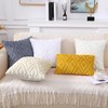 Pallene Soft Faux Fur Throw Pillow Covers 18x18 Set of
