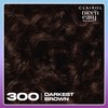 Clairol Nice'n Easy Tone+Gloss Semi Permanent Hair Dye - 300/84