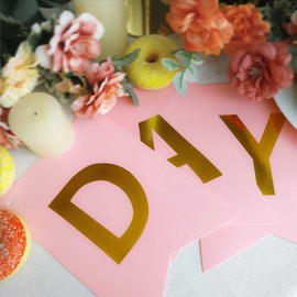 TOYVENTURES Pink Happy Birthday Reusable Banner Signs Golden Sparkle Funny Birthday Party Supplies for Girls Birthday Party Decorations Nursery Hanging 13 Pieces