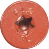 FastenMaster Flatlok No. 14 x 5 in. L #40 Torx