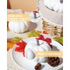 4 Inch Small White Pumpkins for Decorating - 8PCS Small