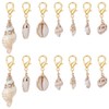 UNICRAFTALE 14Pcs 7 Styles Shell Pendant Natural Cowrie Conch Shells