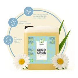 Tónico Facial Productos Mart Mexico de Manzanilla y Aloe Vera 10 L