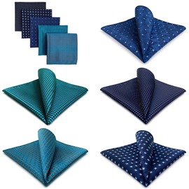 Shlax&Wing 5 Pieces Assorted Men's Handkerchiefs Set - l