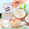 Dried Coconut Chunks 11oz/312g,Natural Freeze Dried Fruit Snack | Coconut