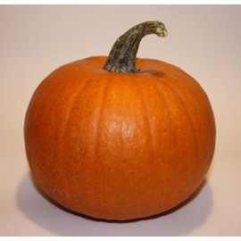 Bulk Organic Pumpkin Seeds (1 Lb)