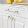 Amerdeco 10 Pack Brushed Satin Nickel and Gold Cabinet Pulls