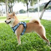 PoyPet Plaid Dog Harness, No Pull Front Clip Pet Vest