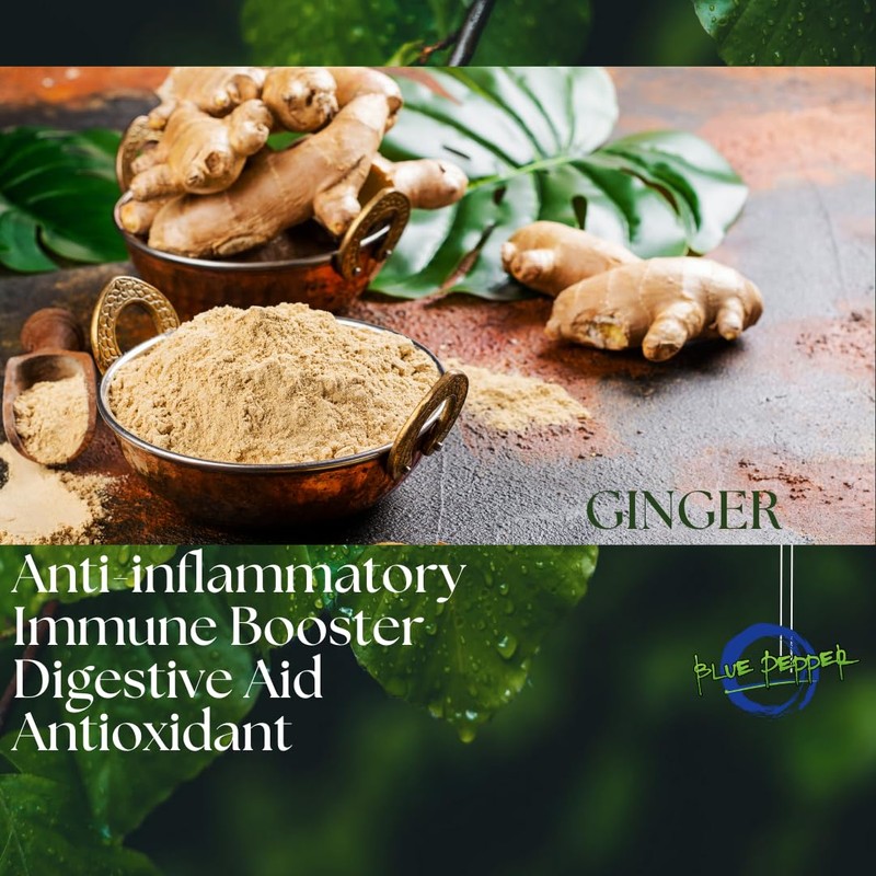 Ginger Kick - Tea Infusions by Blue Pepper