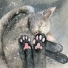 Alex Clark Cat's Toe Beans Blank Card - Cute Funny