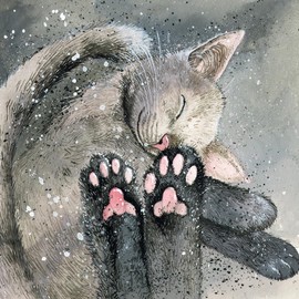 Alex Clark Cat's Toe Beans Blank Card - Cute Funny Card - Card For Any Occasion - Designed and Printed in UK