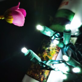 Christmas Lights LED Commercial Mini LED String Lights, 120V UL, Green Wire Xmas Lights for Indoor & Outdoor Use, Holiday Party Decorations, Trees, Light Displays (Cool White, 17FT)