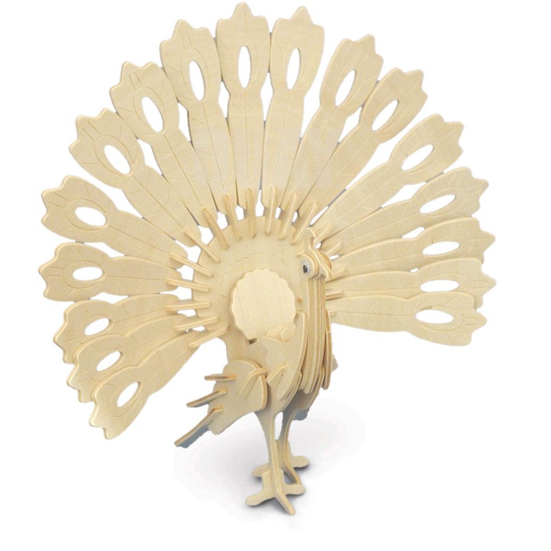 Quay Peacock Woodcraft Construction Kit FSC
