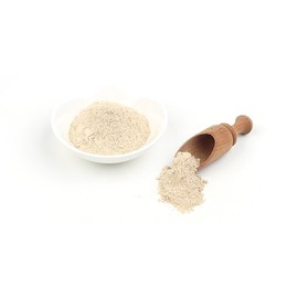 G2G Shop 유기농 표고버섯분말 100g Organic Shiitake Mushroom Powder 100g