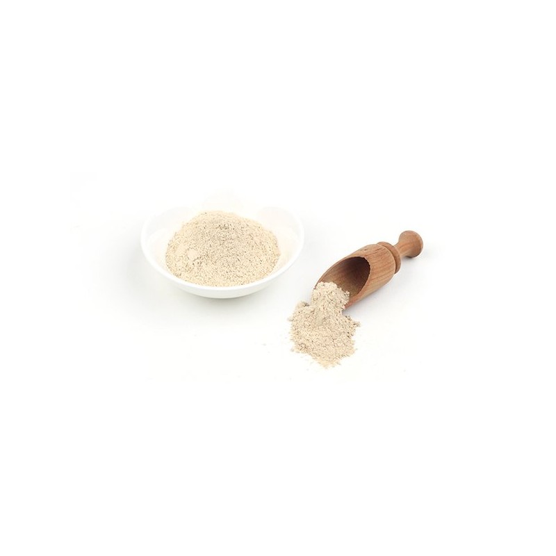 G2G Shop 유기농 표고버섯분말 100g Organic Shiitake Mushroom Powder 100g