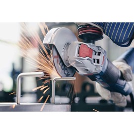 Bosch Professional Expert Straight Cutting Disc (for Metal, X-LOCK, Diameter 125 mm, Bore Diameter: 22.23 mm, Thickness: 1.6 mm)