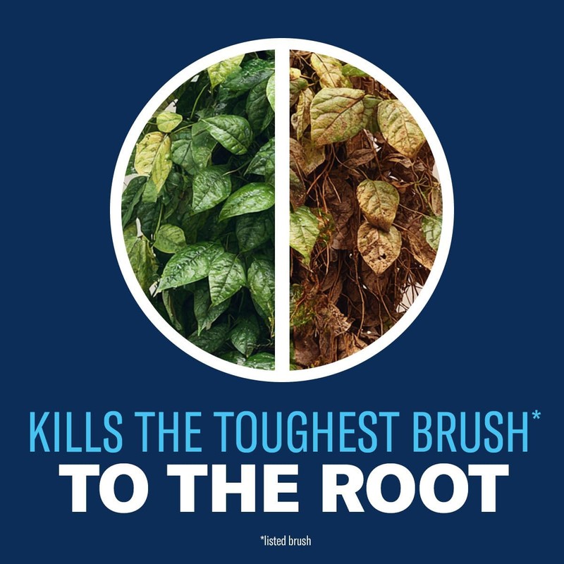 BioAdvanced Brush Killer Plus Spray - Kills Poison Ivy -