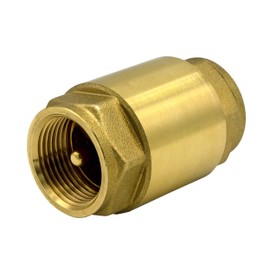 Variosan One-Way Valve, Brass, PN 25, IG.