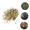 CAXUSD Christmas Sequins Glitter Powder 2 Packs of 20g for
