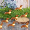 Impress Life Pet Theme Christmas Decorative String Lights, 10ft 30