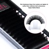 KOLYBEL Eyelash Extensions Cashmere Easy Fan Lashes 0.07 Thickness CC