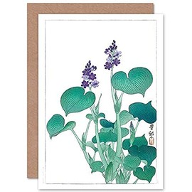 Wee Blue Coo Blooming Hosta Ohara Koson Greeting Card With Envelope Inside Premium Quality