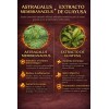 Grasa Abdominal Reductor Abdominal 60 Cáp Multivitamin