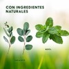 Crema Corporal para Estrías, Hidratante, 250ml