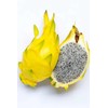 Sunshine Seeds Yellow Dragonfruit Seeds (50) / Dragon Fruit /