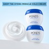 Pond's Hydra Miracle Cold Cream 100g